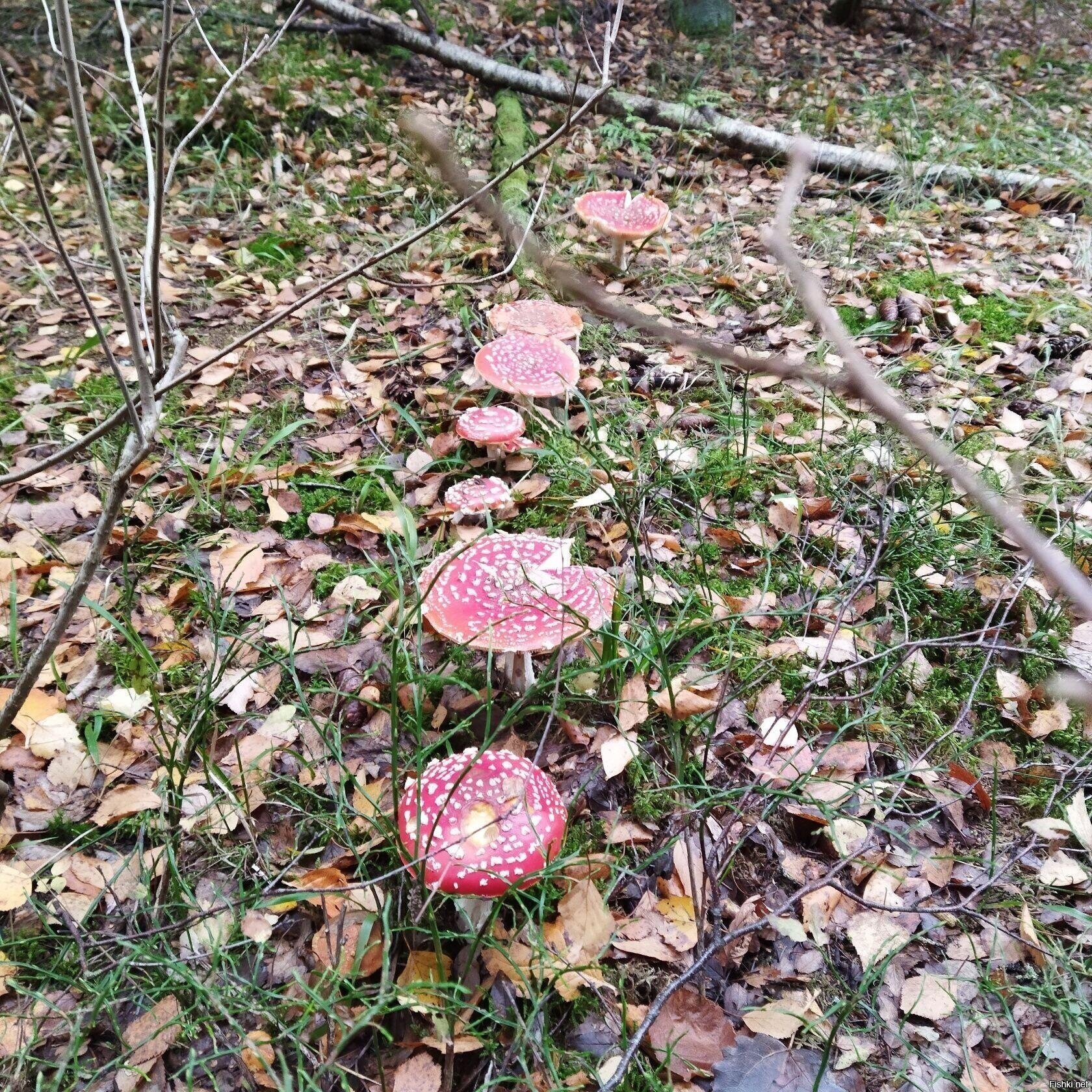 Утро доброе)