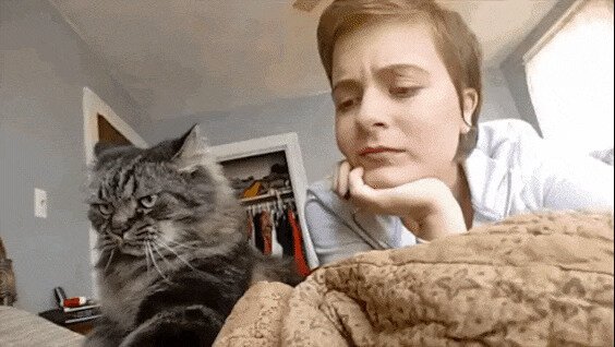 - Бл***