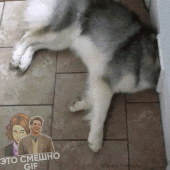 - Ничего не говори