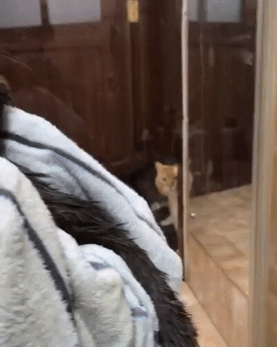 - Когда понял, что больше не любимчик