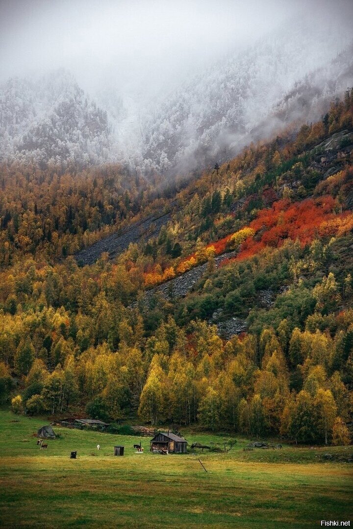 Солянка