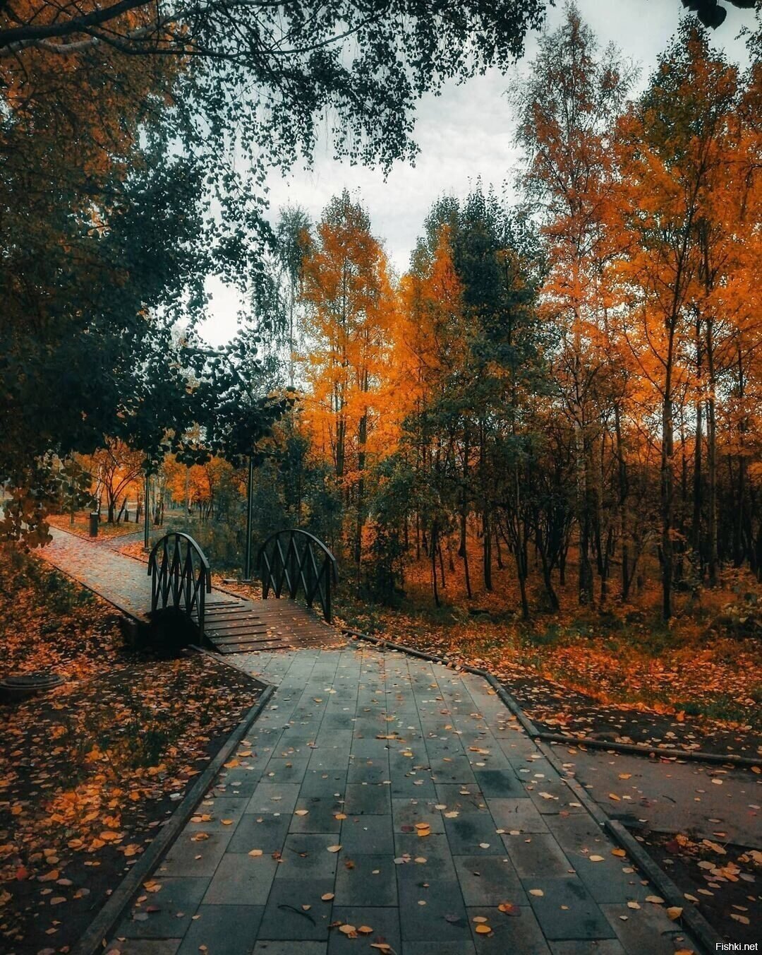 Доброе утро