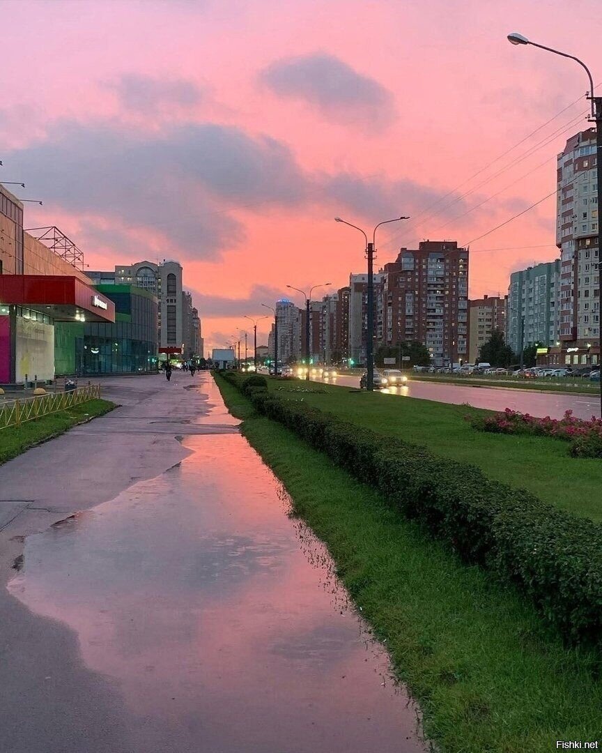 После дождя
