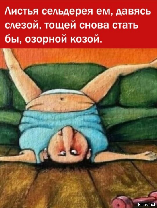Солянка