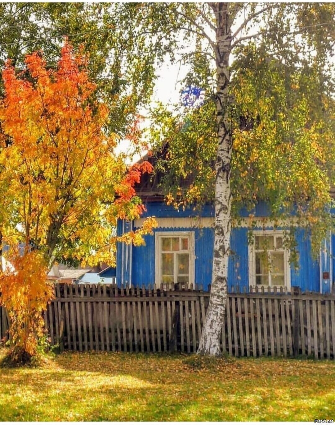 Солянка
