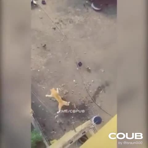 Банзааай
