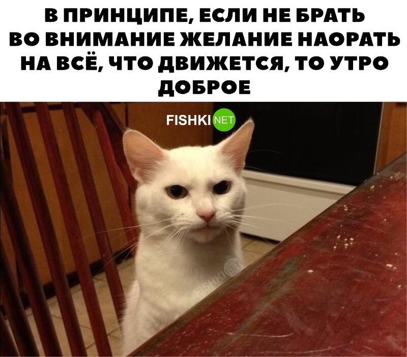 Недоброе утро