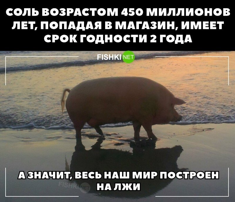 Не поспоришь