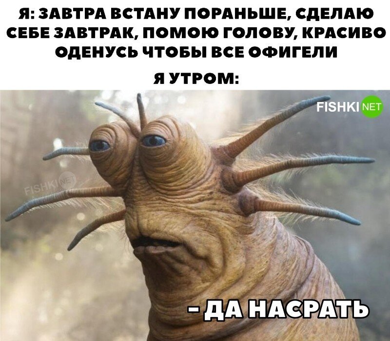 Классика 