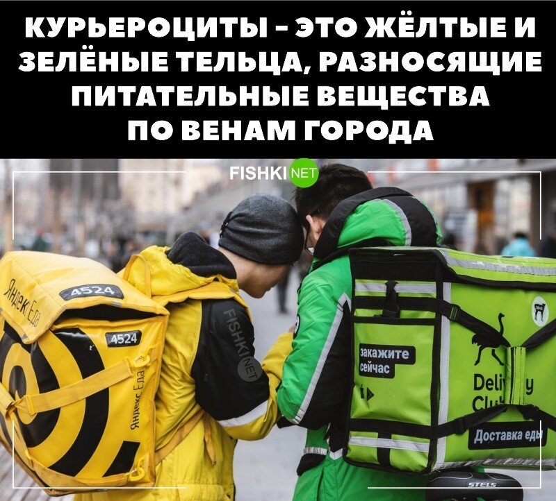 Курьероциты