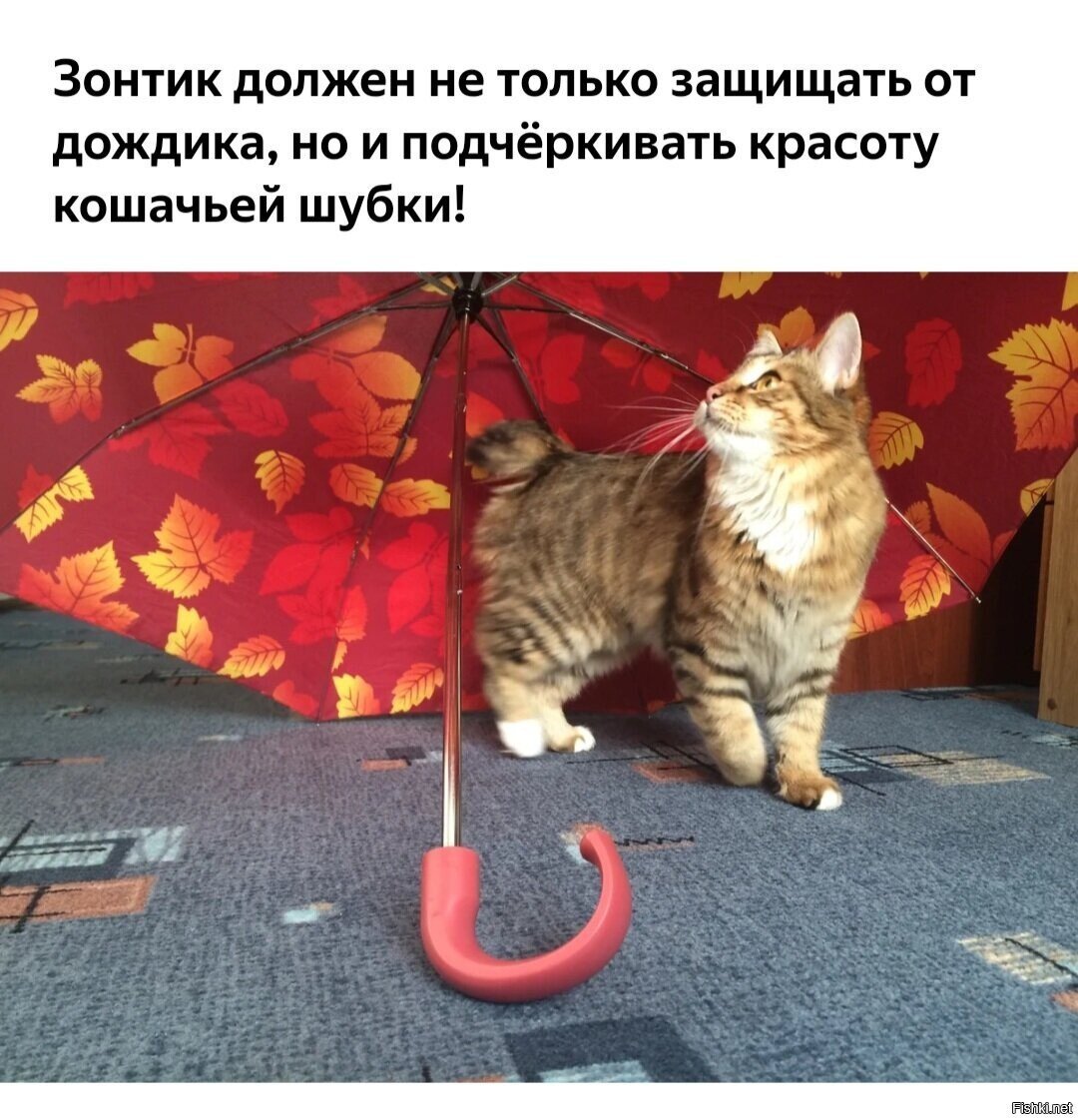 Доброе утро