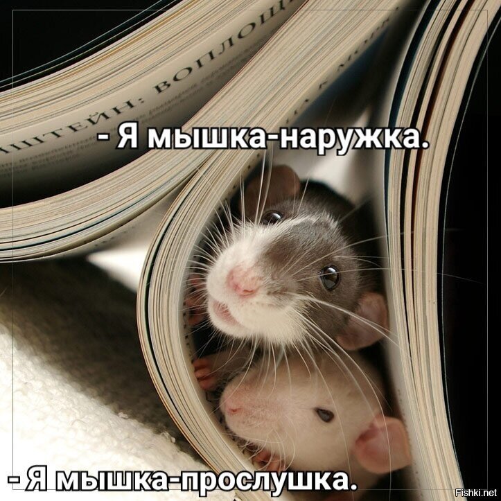 Кто-кто в теремочке живёт