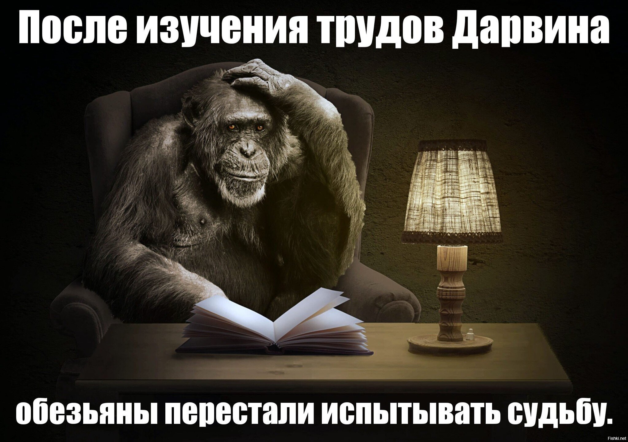 А вот у обезьян семь пятниц на неделе