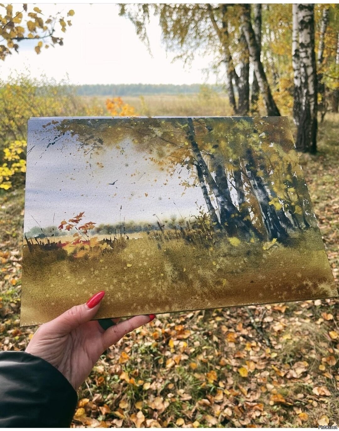 Солянка