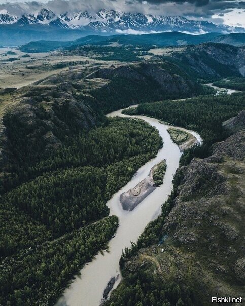 Курайская степь