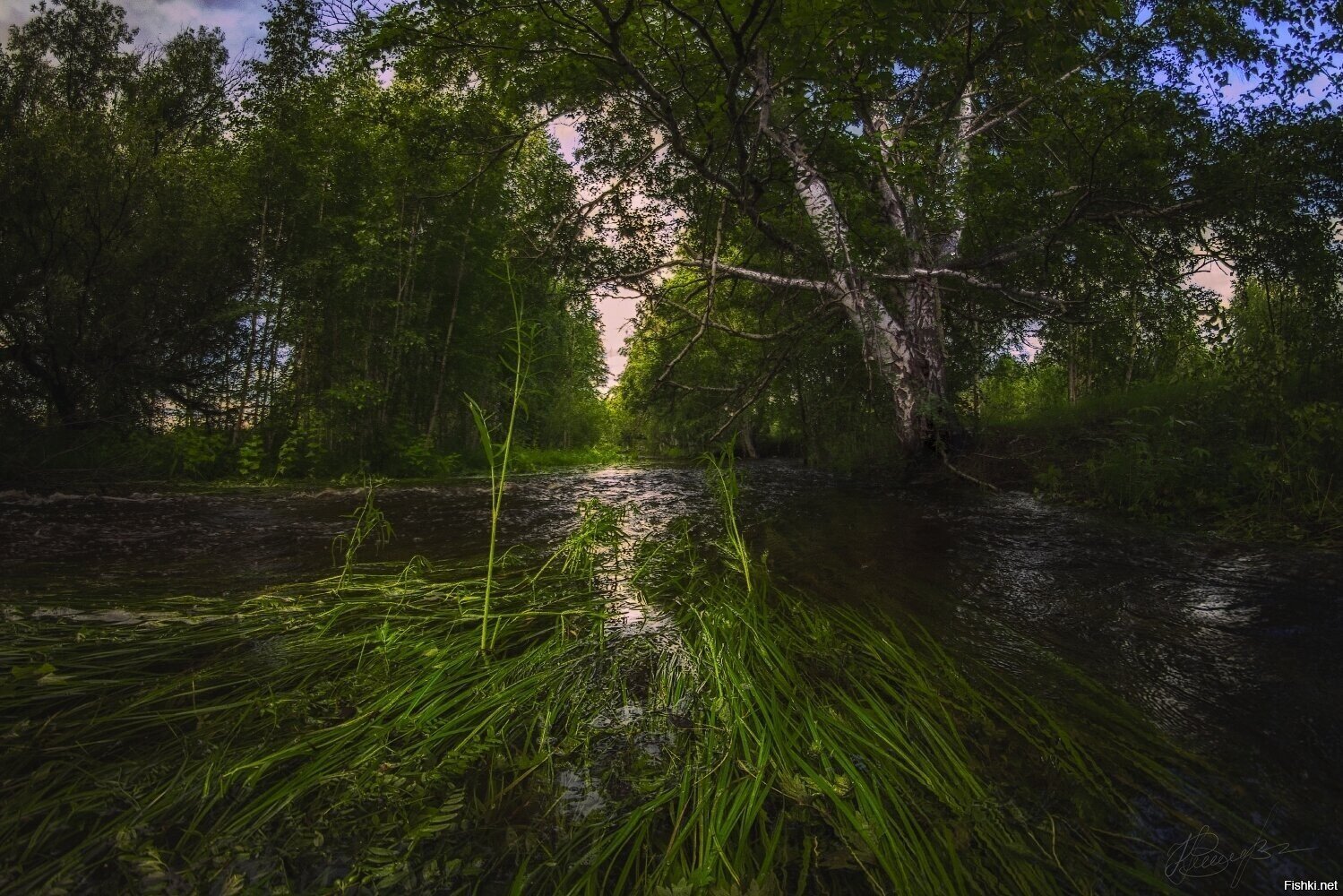 Солянка