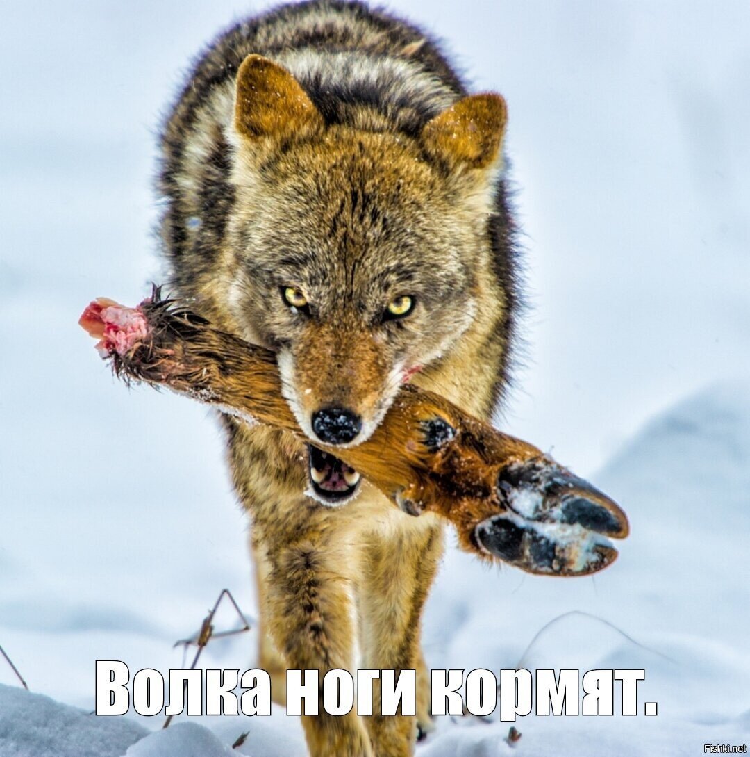 А то вдруг кто-то не правильно пословицу понимает