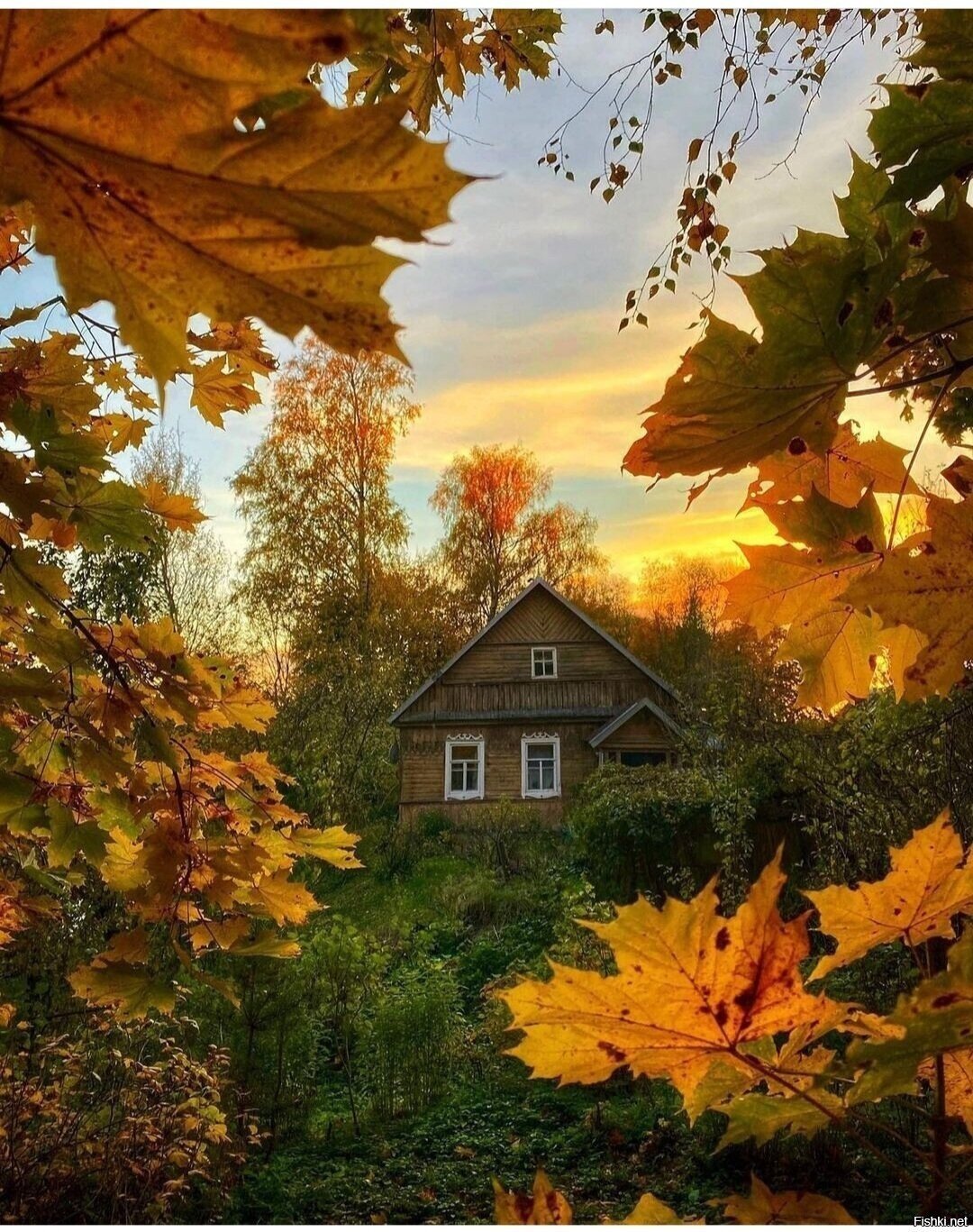 Солянка
