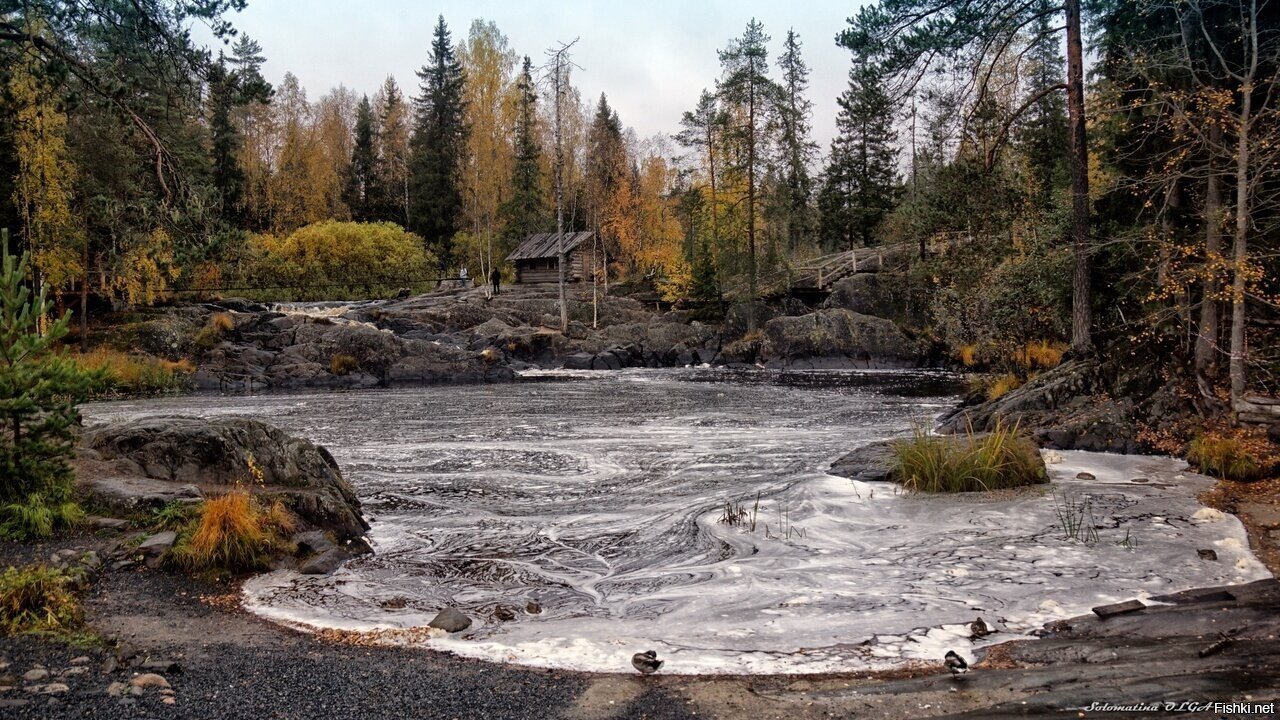 Солянка