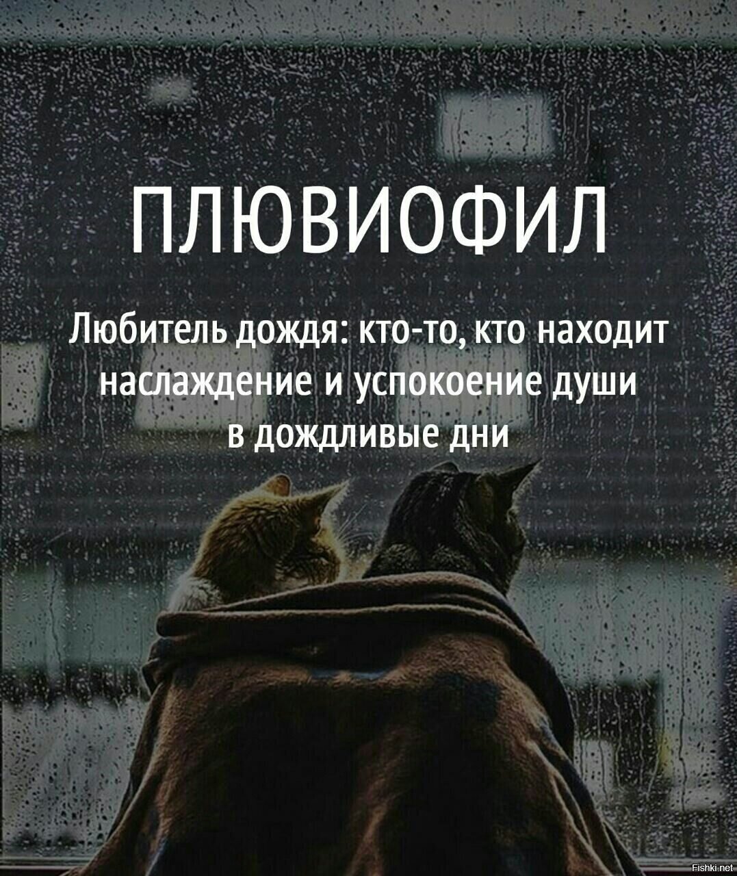 Есть слова, которые знать ни к чему, они тебе в жизни совсем не нужны, но поч...