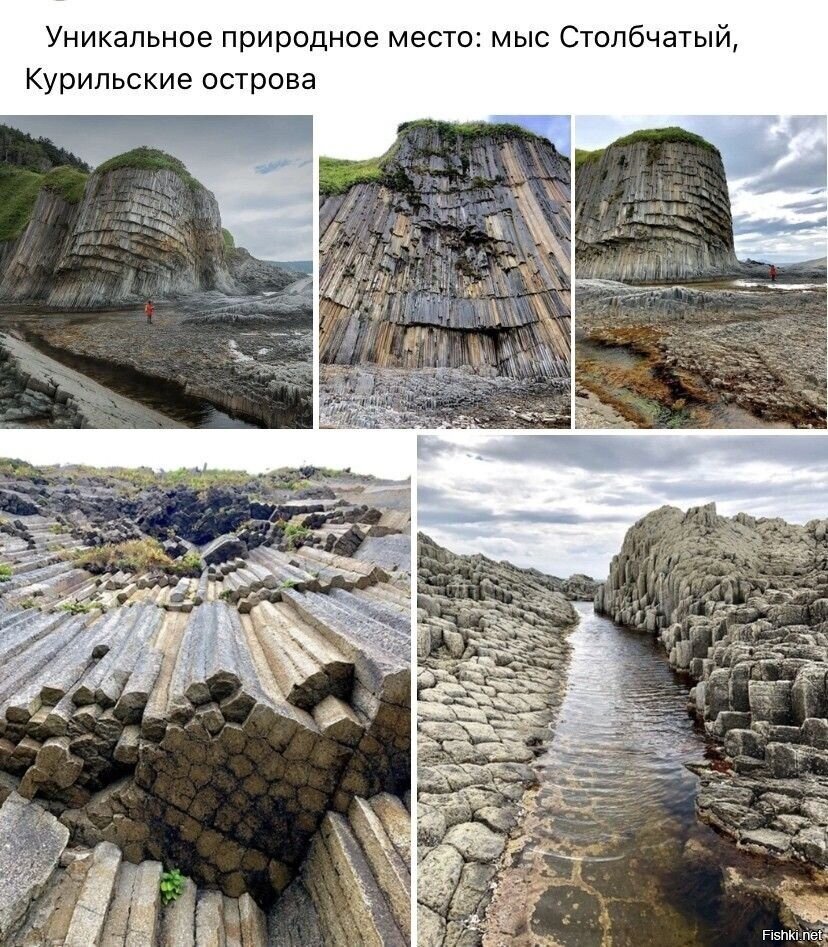 Солянка