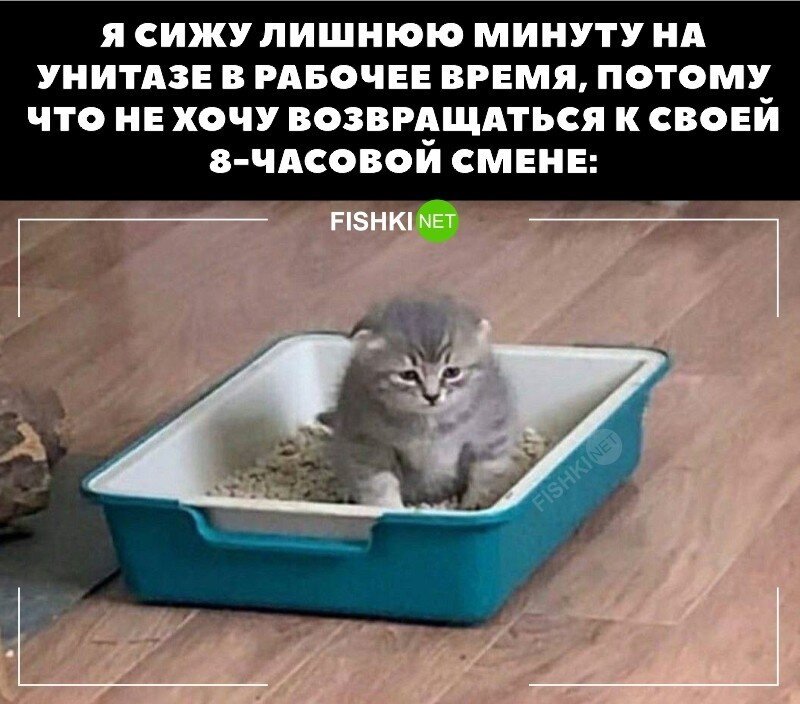 Жизнь боль 