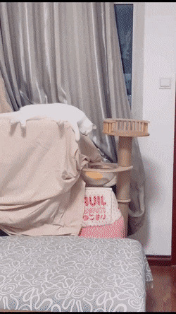 ну, пора