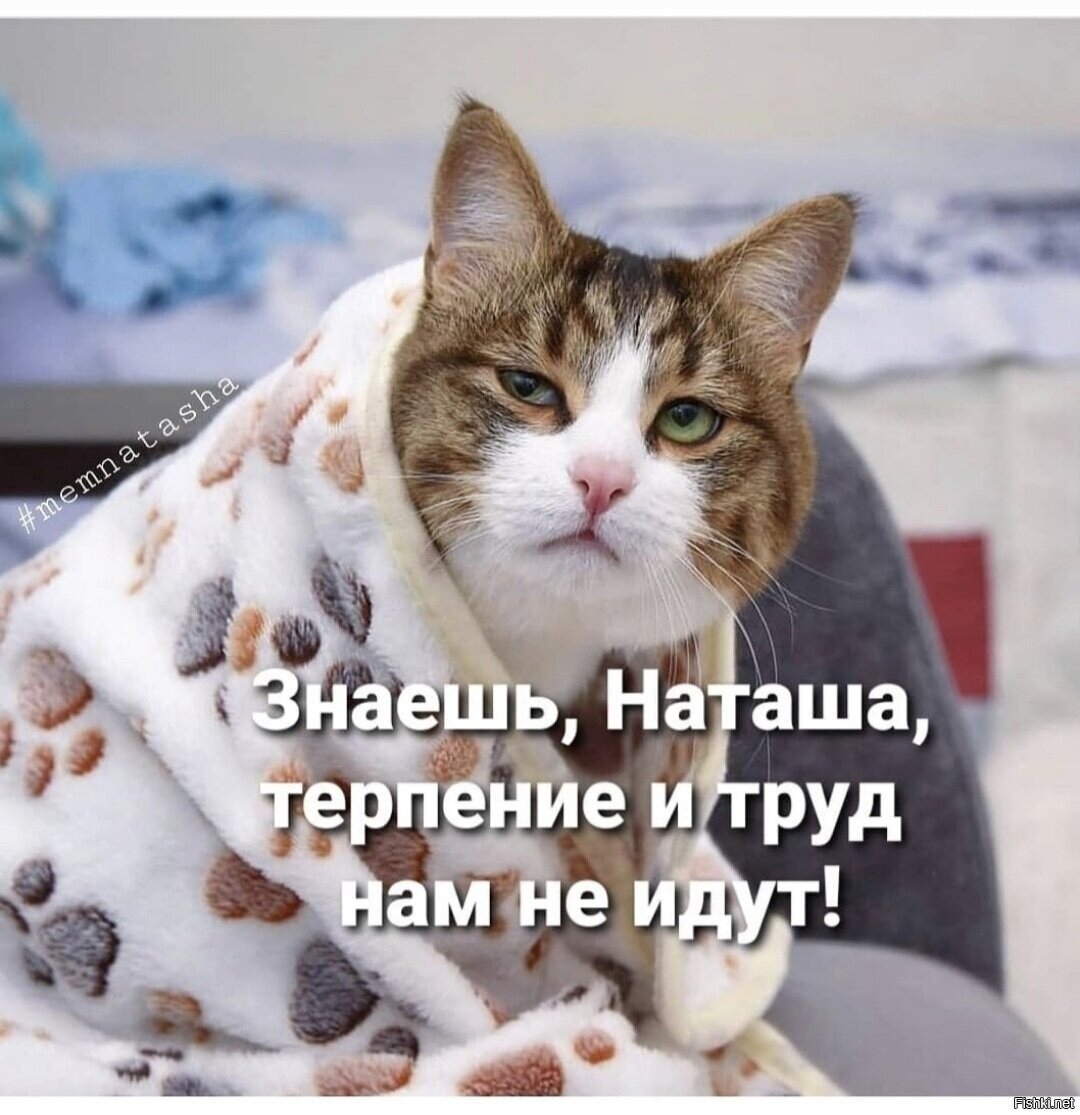 Доброе утро