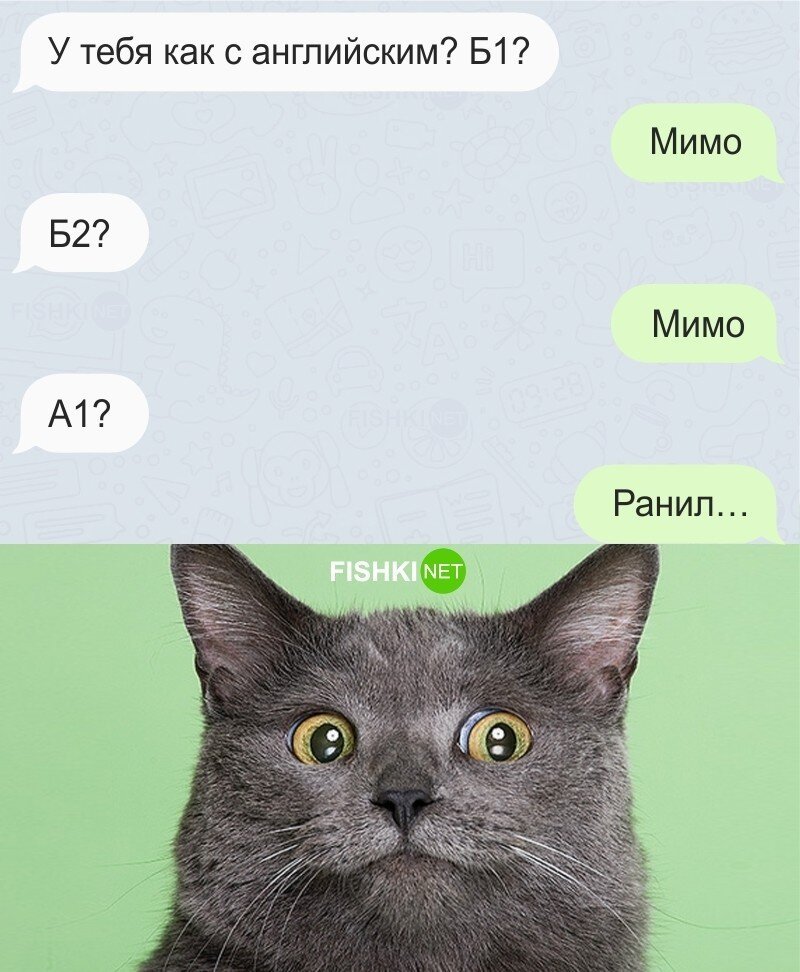 Ответ убил 