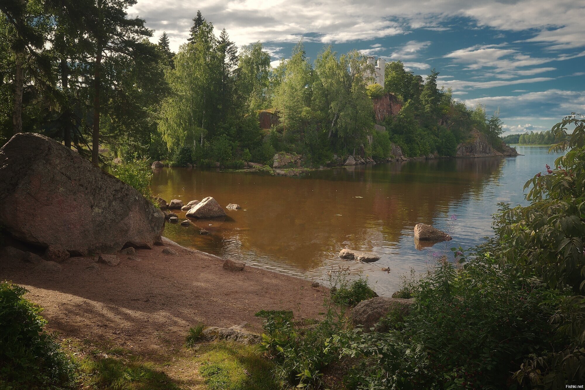 Солянка