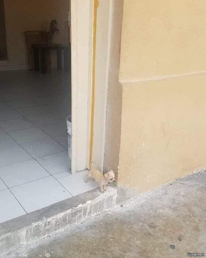 Классический пример