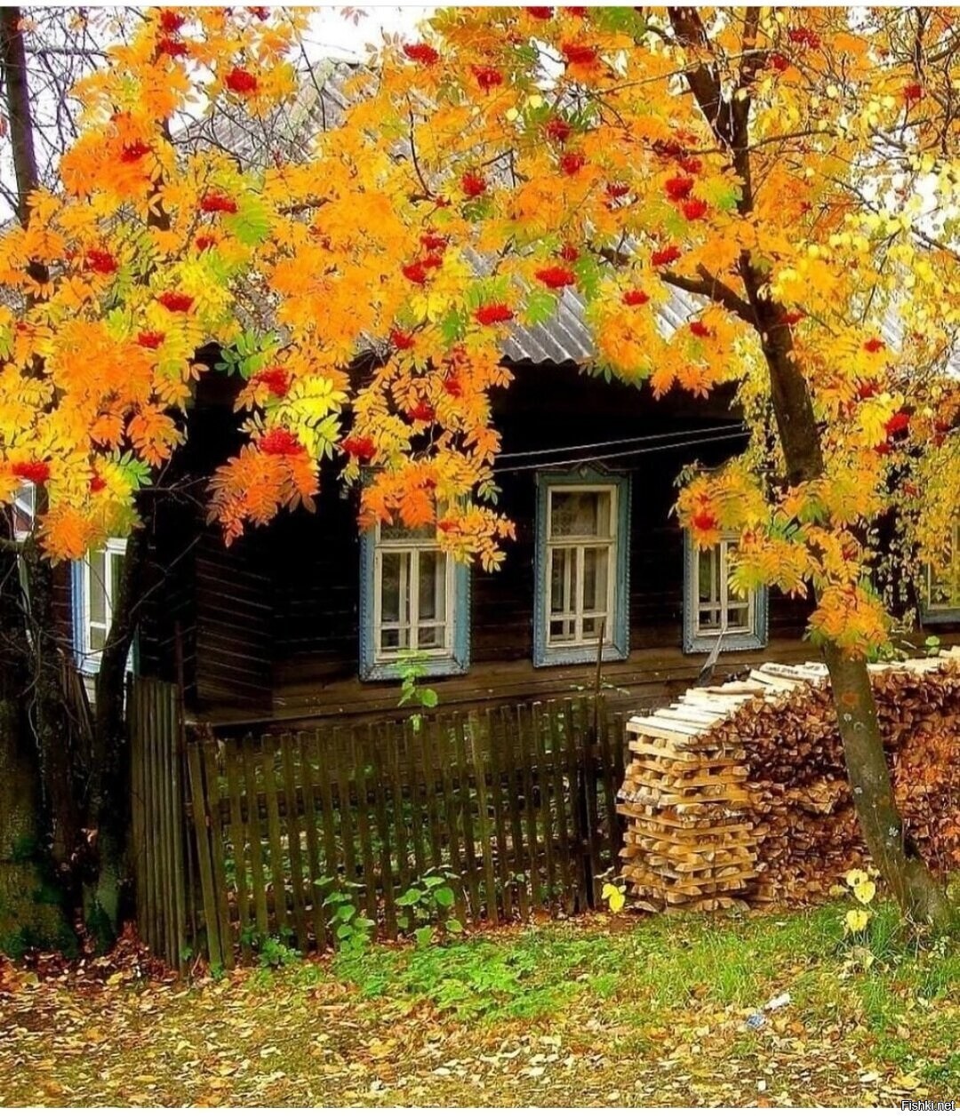 Солянка