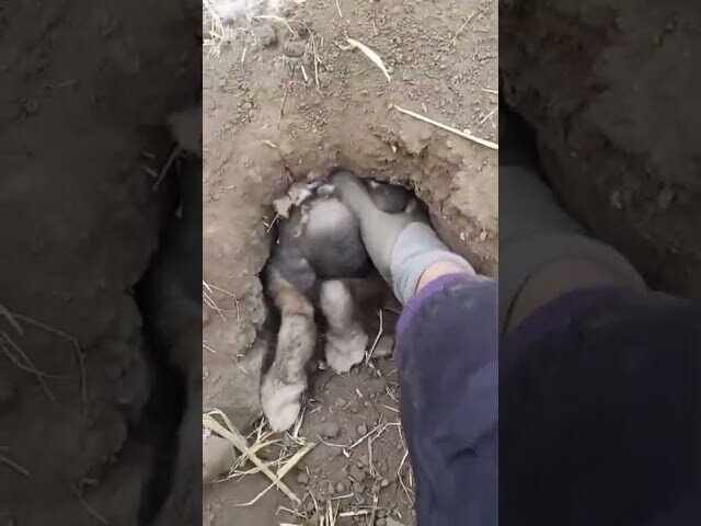 Говорят Занудыч застрял