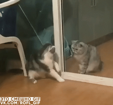 - Памагиттяяя, жизни лишают