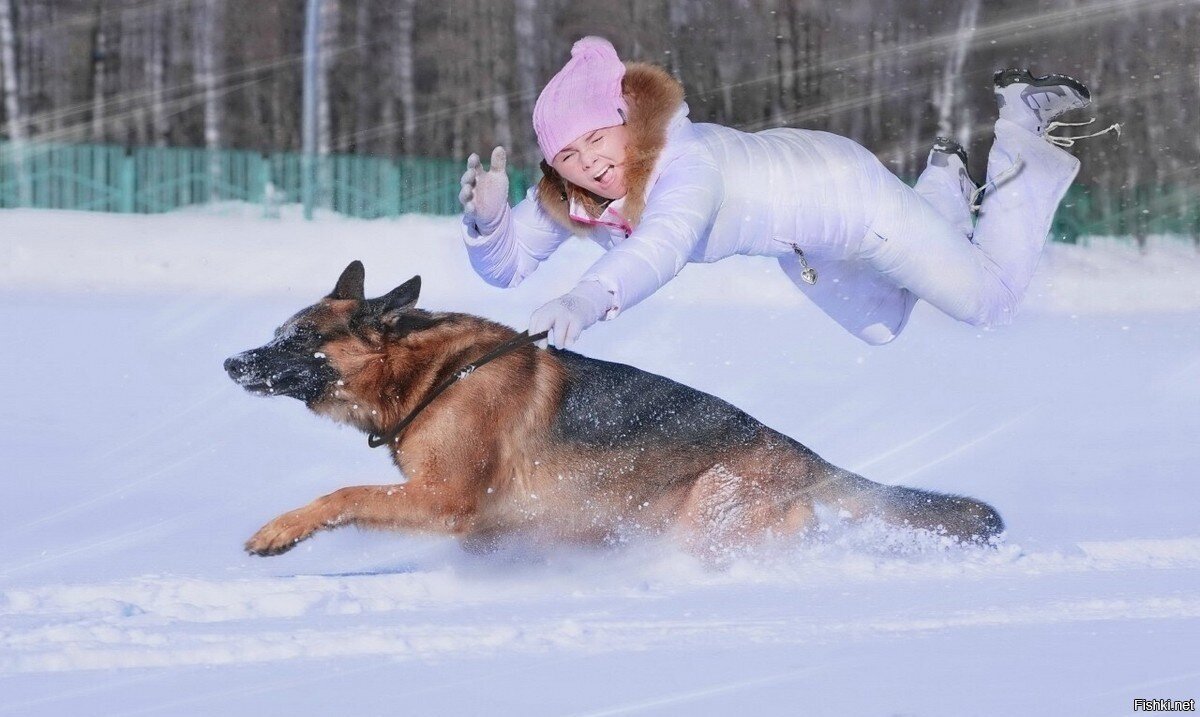 Вот и снег повалил