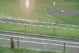 - Жизня такой