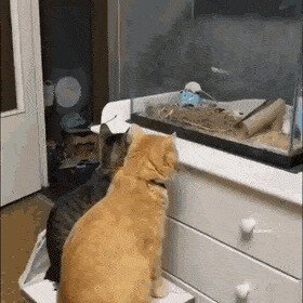 теперь и в 3D