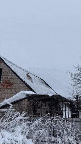 чумачечий