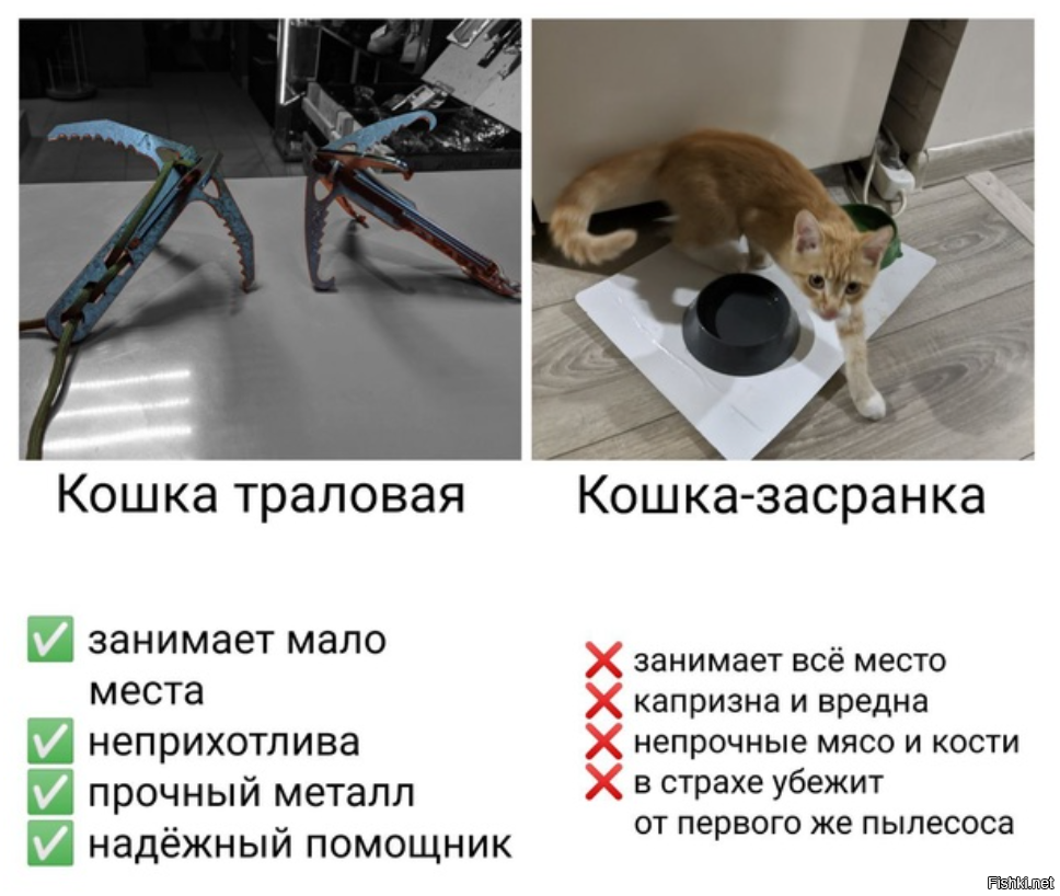 альпинисты, наверное