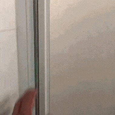 Водяной пес