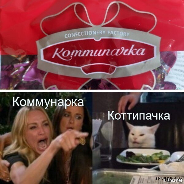 я с котом согласен