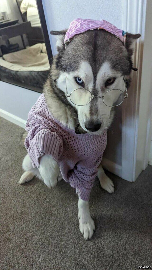 Солянка
