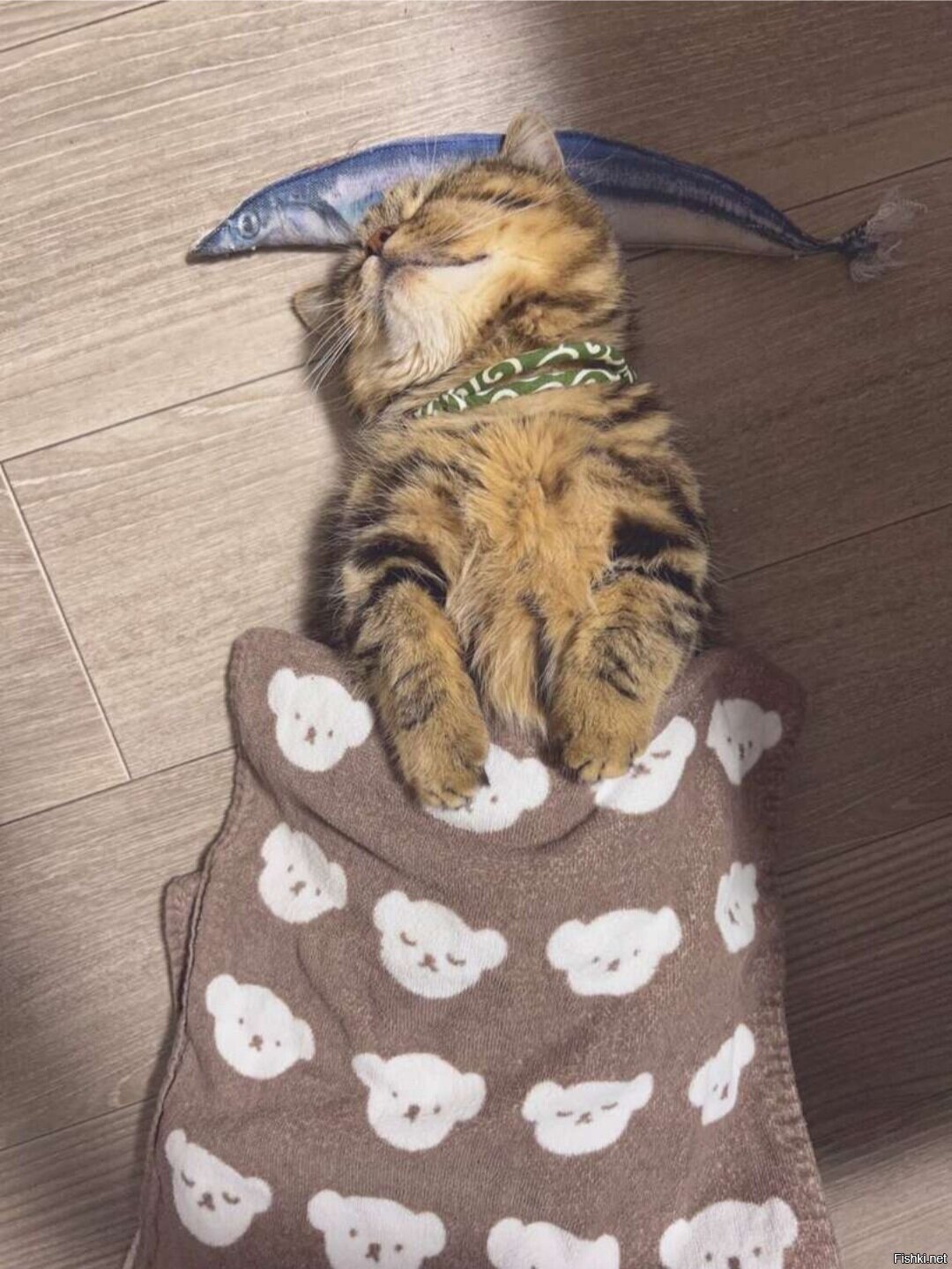 Солянка