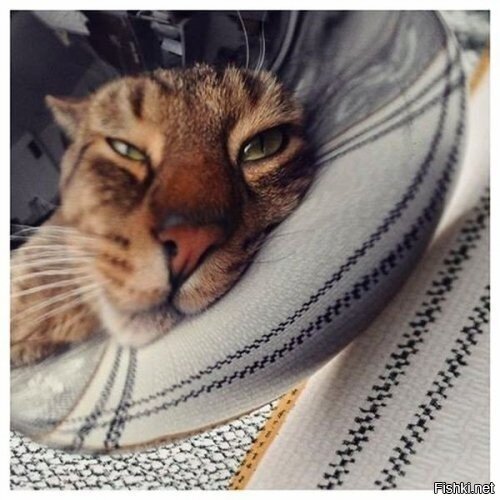 Выходные жеж, как тут не проснуться в 5 утра