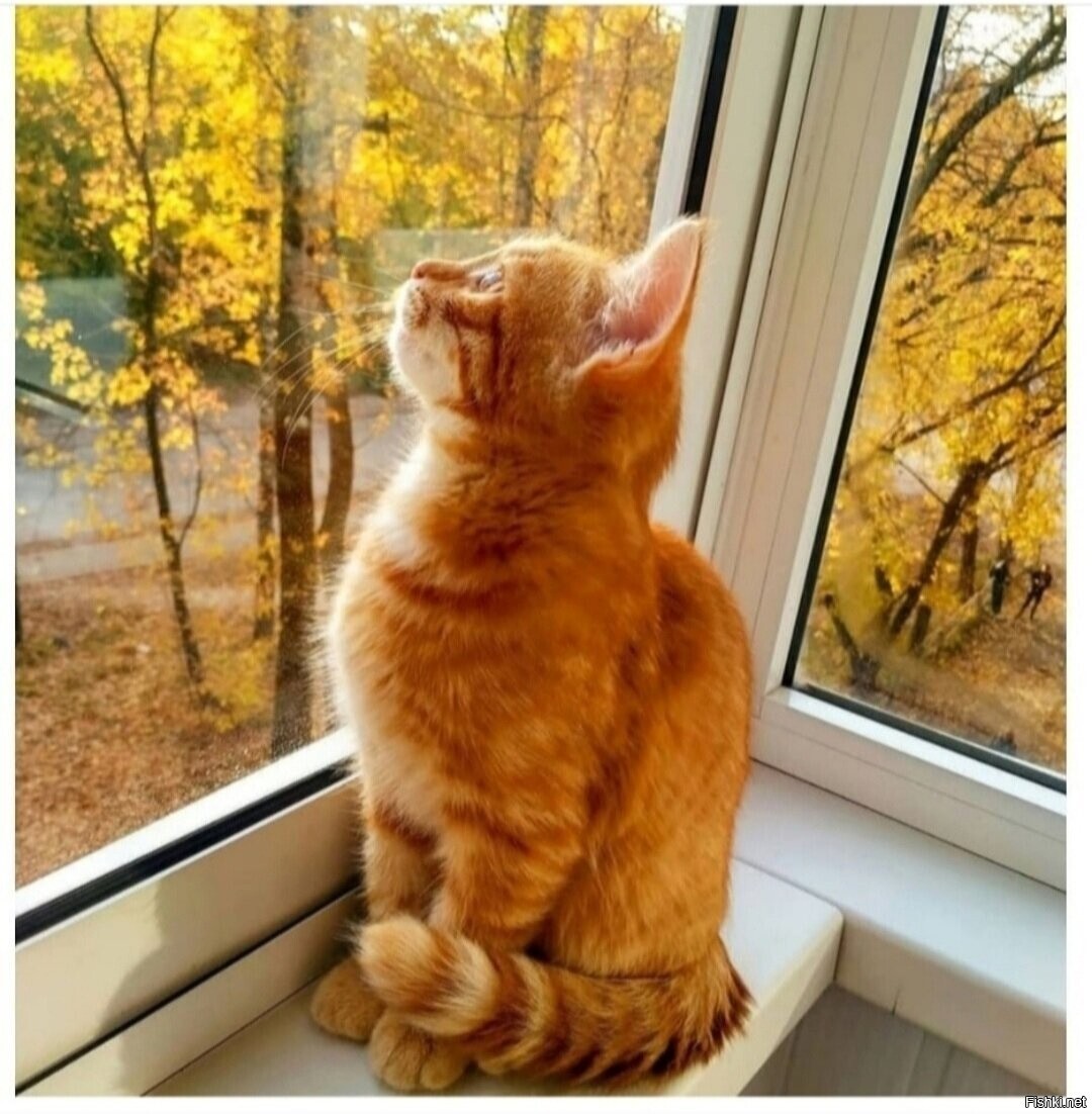 Доброе утро