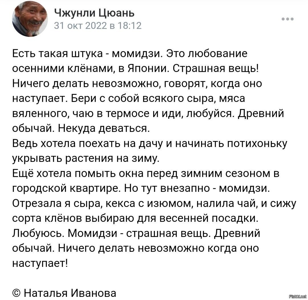 Солянка