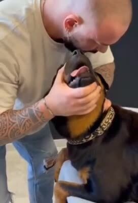 Работа собачьего остеопата