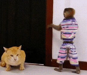 довыё#ывалась