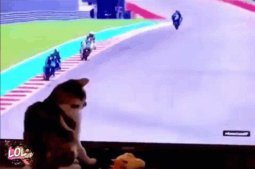 - А тебя я снимаю с гонки