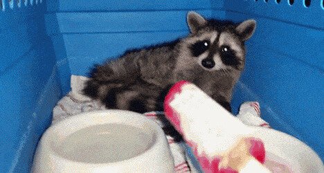 -иди н*х отсюдова